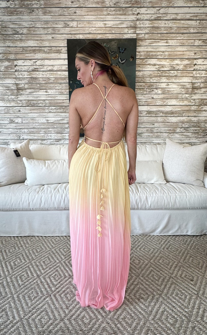 Fleur Plunge Neckline Pleated Maxi Dress-Maxi Dresses-Endless Blu-Shop with Bloom West Boutique, Women's Fashion Boutique, Located in Houma, Louisiana
