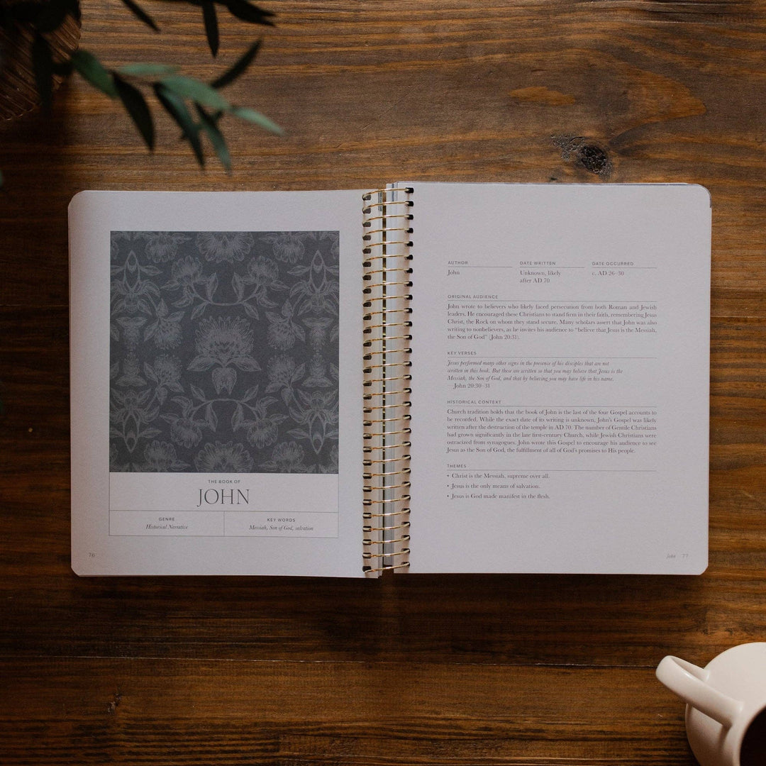 A Year in the Bible | 365 Days Matthew to Revelation | Volume 4-The Daily Grace Co-Shop with Bloom West Boutique, Women's Fashion Boutique, Located in Houma, Louisiana