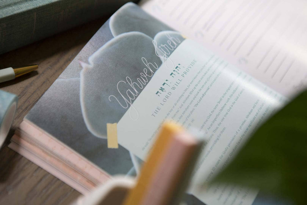 Galatians Bible Study | Extravagant-Bibles & Devotionals-Chosen & Cherished-Shop with Bloom West Boutique, Women's Fashion Boutique, Located in Houma, Louisiana