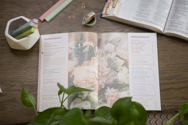 Galatians Bible Study | Extravagant-Bibles & Devotionals-Chosen & Cherished-Shop with Bloom West Boutique, Women's Fashion Boutique, Located in Houma, Louisiana