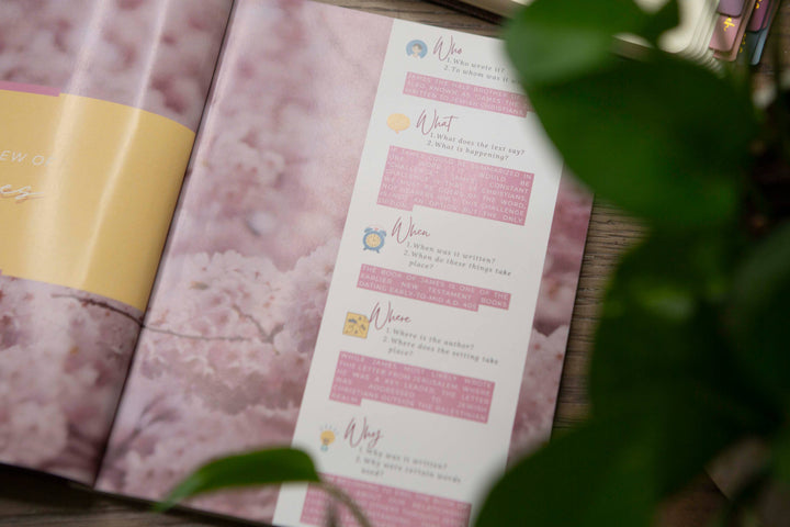 James Bible Study | Unwavering-Accessories-Chosen & Cherished-Shop with Bloom West Boutique, Women's Fashion Boutique, Located in Houma, Louisiana