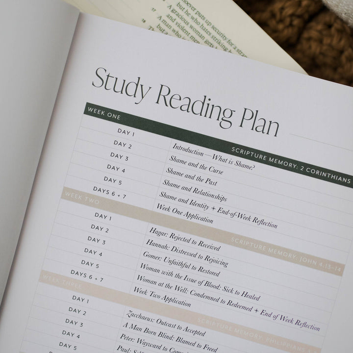 Free From Shame | How the Gospel Redeems our Past and Pain-The Daily Grace Co-Shop with Bloom West Boutique, Women's Fashion Boutique, Located in Houma, Louisiana