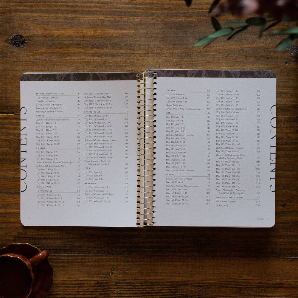 A Year in the Bible | 365 Days of Discovering the Beauty of Jesus from Genesis to Revelation | Volume 2-Accessories-The Daily Grace Co-Shop with Bloom West Boutique, Women's Fashion Boutique, Located in Houma, Louisiana