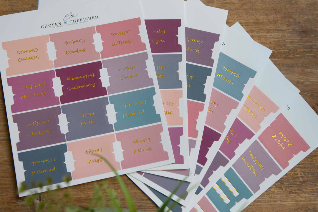 Ombre Bible Index Tabs | Colorful Bible Tabs-Accessories-Chosen & Cherished-Shop with Bloom West Boutique, Women's Fashion Boutique, Located in Houma, Louisiana