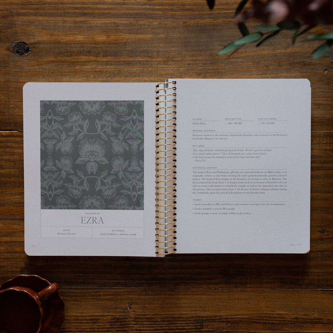 A Year in the Bible | 365 Days of Discovering the Beauty of Jesus from Genesis to Revelation | Volume 2-Accessories-The Daily Grace Co-Shop with Bloom West Boutique, Women's Fashion Boutique, Located in Houma, Louisiana