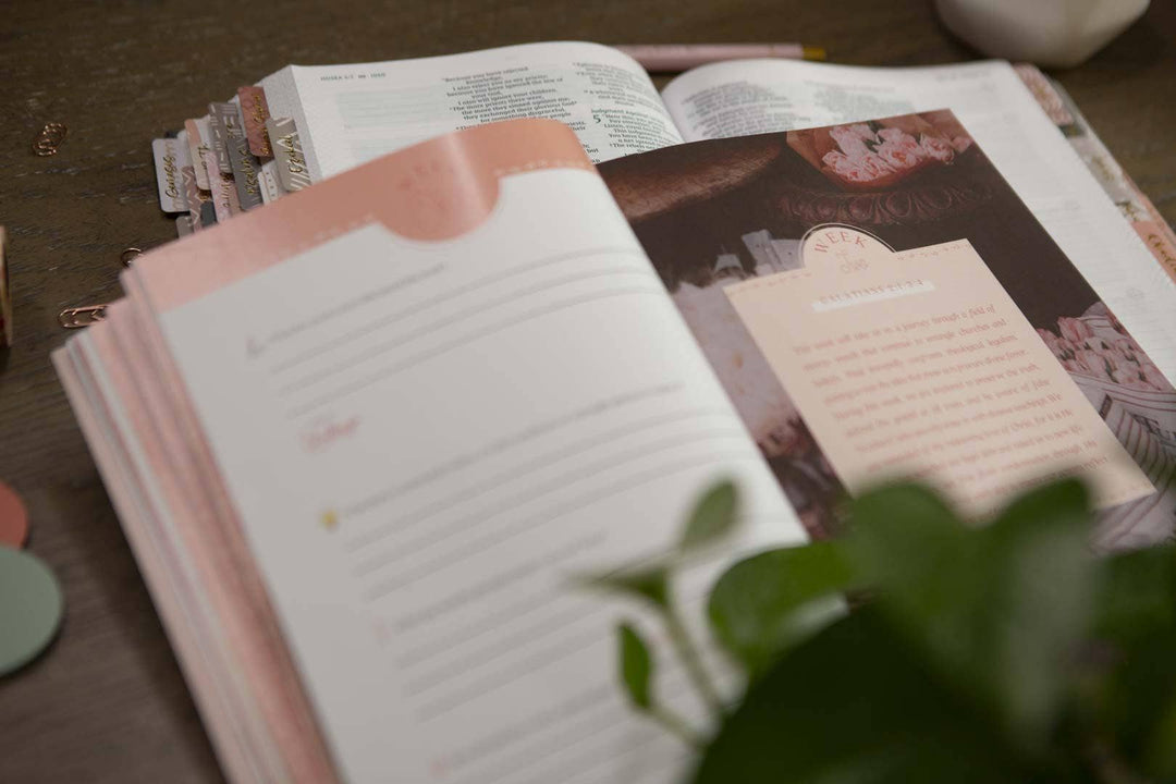 Galatians Bible Study | Extravagant-Bibles & Devotionals-Chosen & Cherished-Shop with Bloom West Boutique, Women's Fashion Boutique, Located in Houma, Louisiana