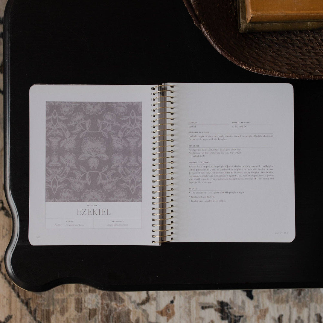 A Year in the Bible | 365 Days Matthew to Malachi￼ | Volume 3-The Daily Grace Co-Shop with Bloom West Boutique, Women's Fashion Boutique, Located in Houma, Louisiana