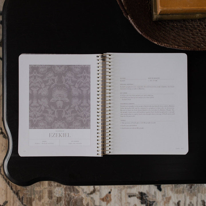 A Year in the Bible | 365 Days Matthew to Malachi￼ | Volume 3-The Daily Grace Co-Shop with Bloom West Boutique, Women's Fashion Boutique, Located in Houma, Louisiana