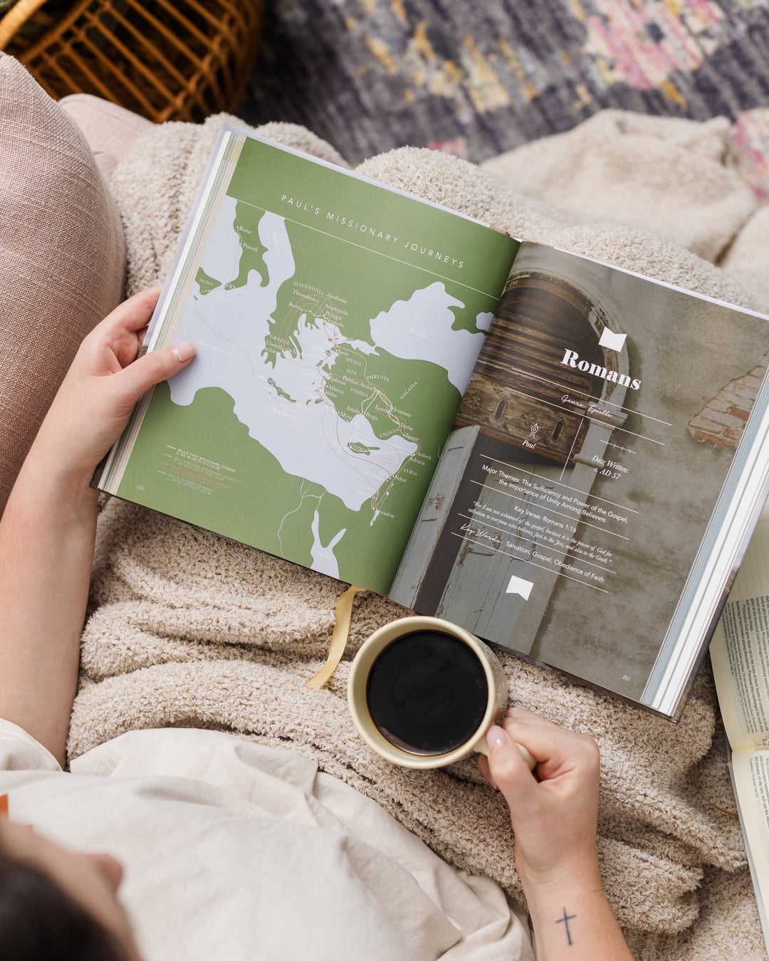 The Bible Handbook: A Book-by-Book Guide to the Entire Bible-Accessories-The Daily Grace Co-Shop with Bloom West Boutique, Women's Fashion Boutique, Located in Houma, Louisiana