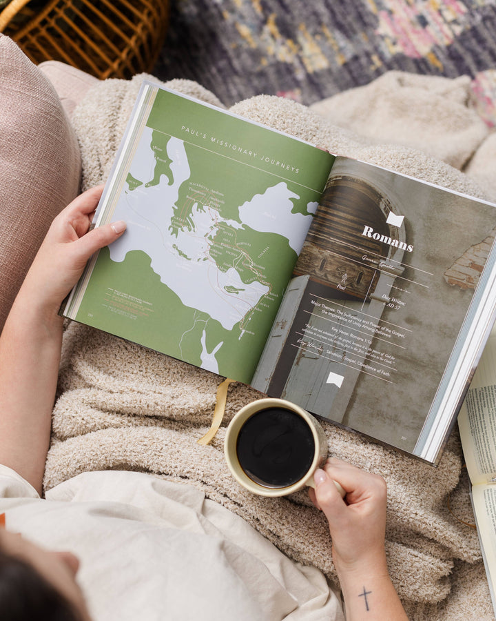 The Bible Handbook: A Book-by-Book Guide to the Entire Bible-Accessories-The Daily Grace Co-Shop with Bloom West Boutique, Women's Fashion Boutique, Located in Houma, Louisiana