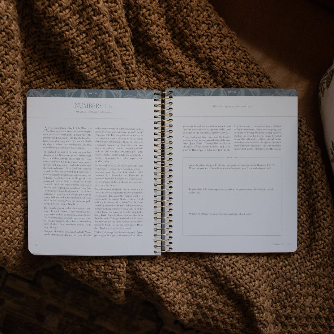 A Year in the Bible | 365 Days of Discovering the Beauty of Jesus from Genesis to Revelation | Volume 1-The Daily Grace Co-Shop with Bloom West Boutique, Women's Fashion Boutique, Located in Houma, Louisiana