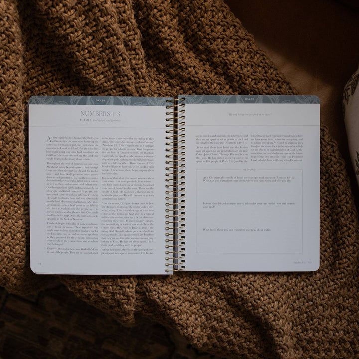 A Year in the Bible | 365 Days of Discovering the Beauty of Jesus from Genesis to Revelation | Volume 1-The Daily Grace Co-Shop with Bloom West Boutique, Women's Fashion Boutique, Located in Houma, Louisiana