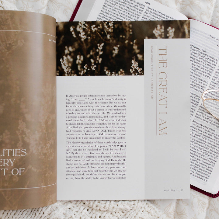 I Am - Who Jesus Is Changes Everything Bible Study-The Daily Grace Co-Shop with Bloom West Boutique, Women's Fashion Boutique, Located in Houma, Louisiana