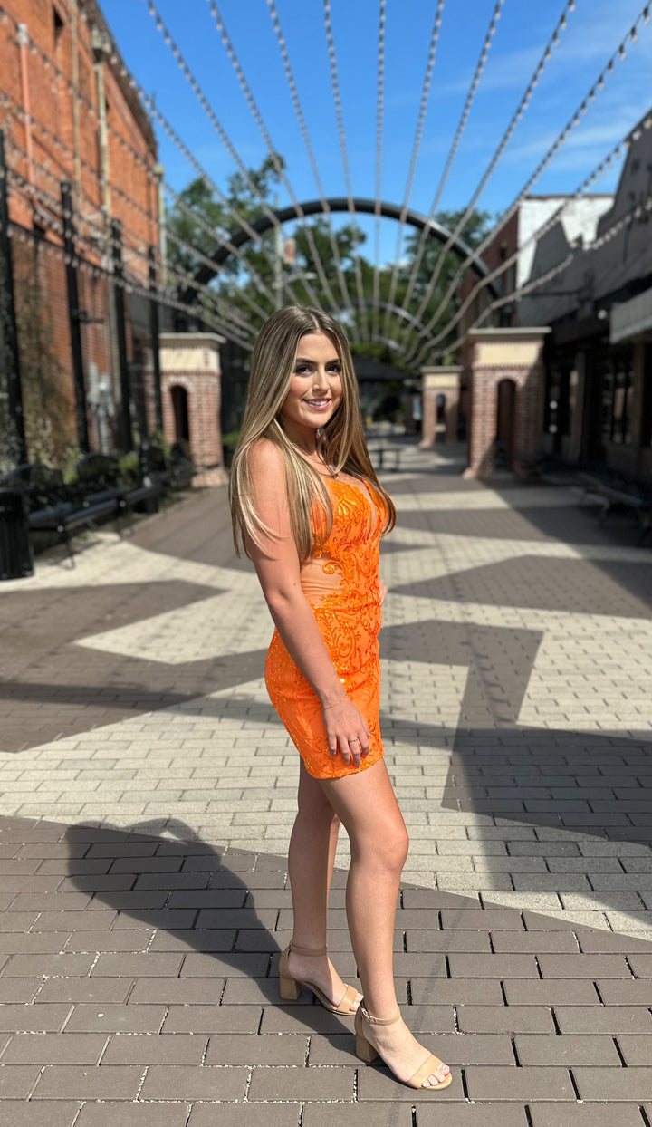 Juliette Sequin Side Mesh Dress-Semi Formal Dresses-Noxanabel-Shop with Bloom West Boutique, Women's Fashion Boutique, Located in Houma, Louisiana