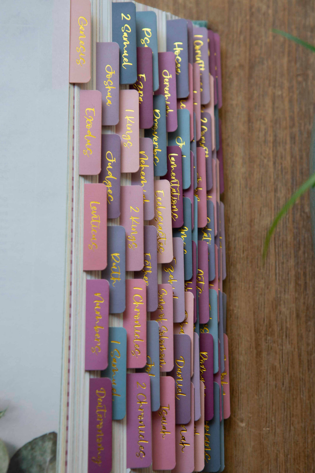 Ombre Bible Index Tabs | Colorful Bible Tabs-Accessories-Chosen & Cherished-Shop with Bloom West Boutique, Women's Fashion Boutique, Located in Houma, Louisiana