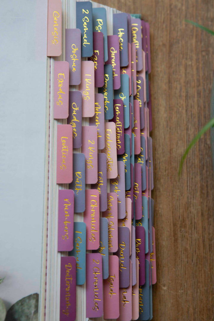 Ombre Bible Index Tabs | Colorful Bible Tabs-Accessories-Chosen & Cherished-Shop with Bloom West Boutique, Women's Fashion Boutique, Located in Houma, Louisiana