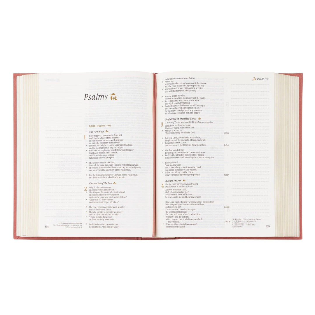 CSB Notetaking Bible: Rosedal Theme-Bibles & Devotionals-Hosanna Revival-Shop with Bloom West Boutique, Women's Fashion Boutique, Located in Houma, Louisiana