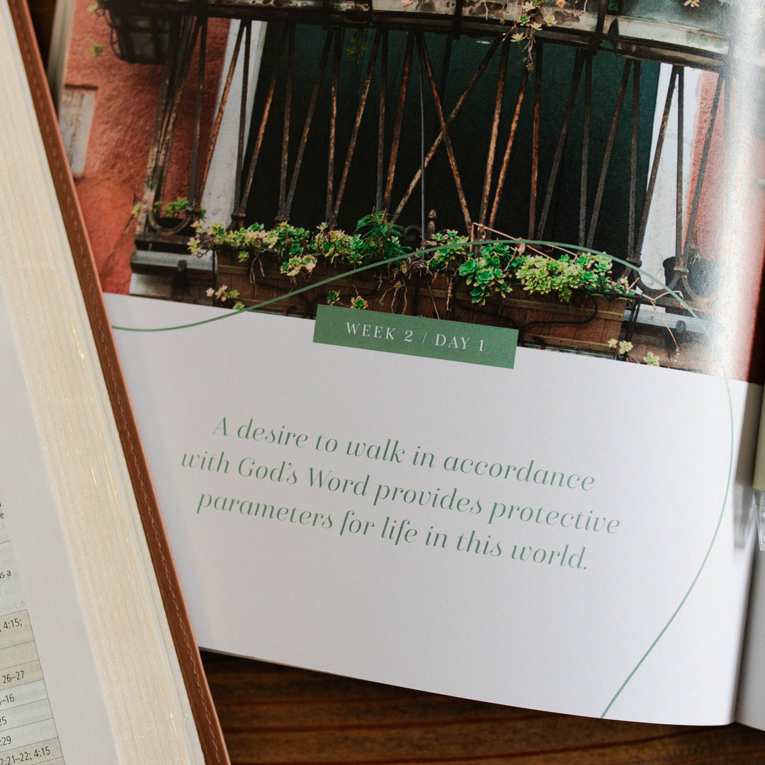 Stand Firm | Armor of God Study -The Daily Grace Co-Shop with Bloom West Boutique, Women's Fashion Boutique, Located in Houma, Louisiana