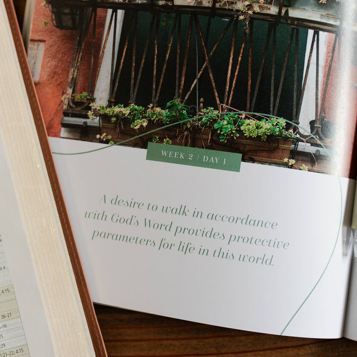 Stand Firm | Armor of God Study -The Daily Grace Co-Shop with Bloom West Boutique, Women's Fashion Boutique, Located in Houma, Louisiana