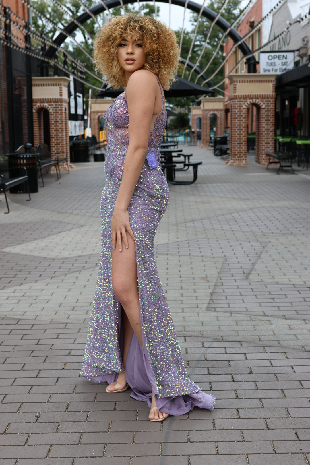 iridescent purple dress Prudence Iridescent Sequin & Lace Gown