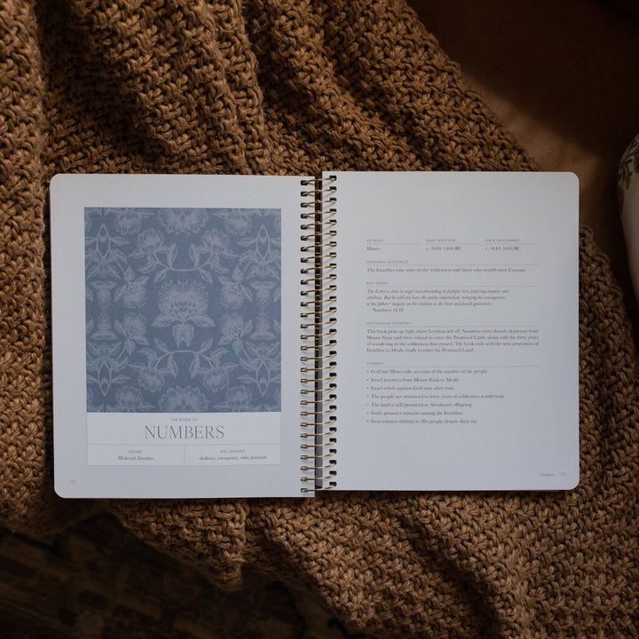 A Year in the Bible | 365 Days of Discovering the Beauty of Jesus from Genesis to Revelation | Volume 1-The Daily Grace Co-Shop with Bloom West Boutique, Women's Fashion Boutique, Located in Houma, Louisiana