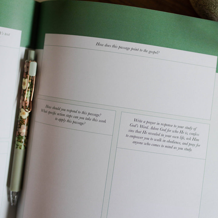 Stand Firm | Armor of God Study -The Daily Grace Co-Shop with Bloom West Boutique, Women's Fashion Boutique, Located in Houma, Louisiana