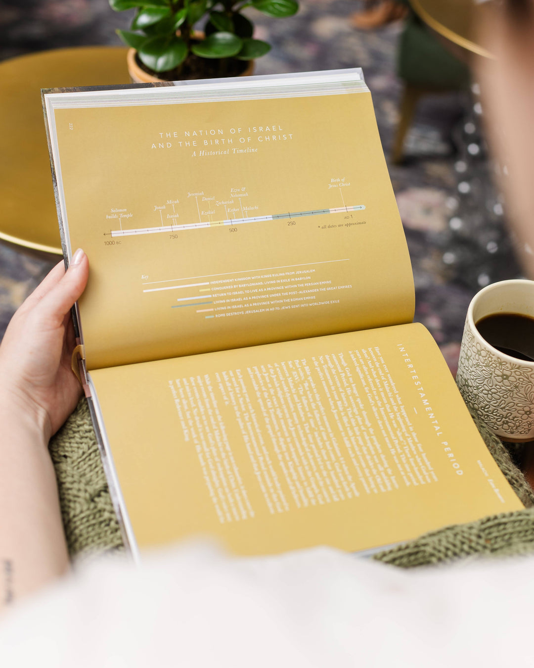 The Bible Handbook: A Book-by-Book Guide to the Entire Bible-Accessories-The Daily Grace Co-Shop with Bloom West Boutique, Women's Fashion Boutique, Located in Houma, Louisiana