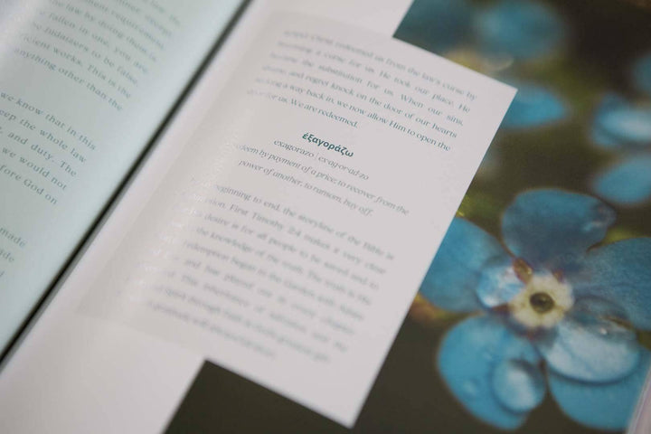 Galatians Bible Study | Extravagant-Bibles & Devotionals-Chosen & Cherished-Shop with Bloom West Boutique, Women's Fashion Boutique, Located in Houma, Louisiana