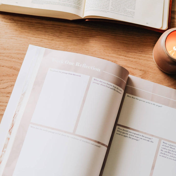 Fighting with Faith | Philippians Study-Bibles & Devotionals-The Daily Grace Co-Shop with Bloom West Boutique, Women's Fashion Boutique, Located in Houma, Louisiana