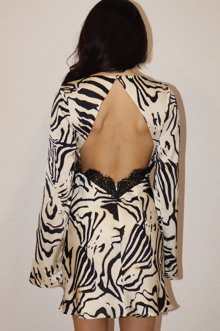 Zebra Lace Mini Dress-Bailey Rose-Shop with Bloom West Boutique, Women&