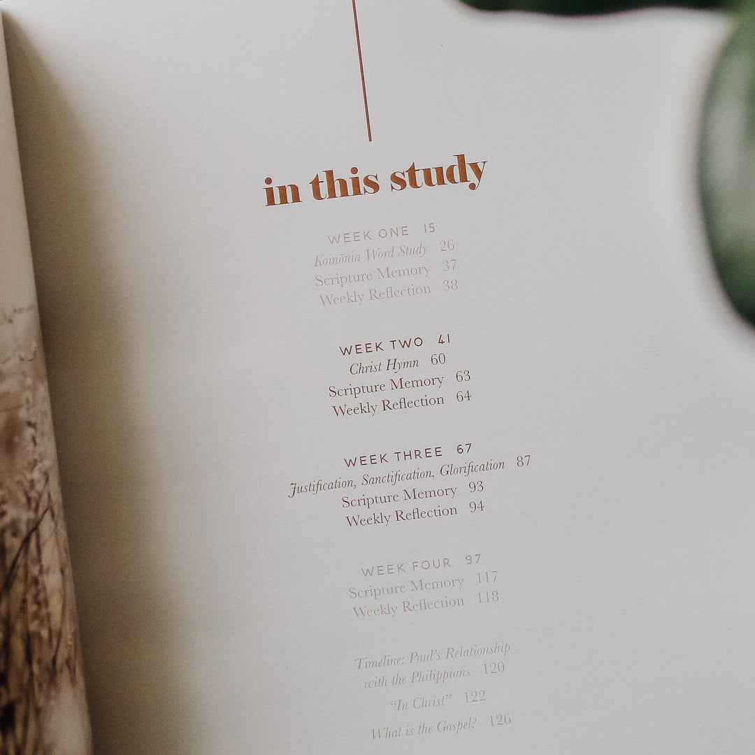 Fighting with Faith | Philippians Study-Bibles & Devotionals-The Daily Grace Co-Shop with Bloom West Boutique, Women's Fashion Boutique, Located in Houma, Louisiana