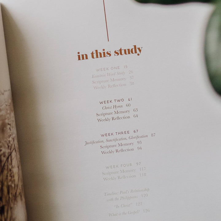 Fighting with Faith | Philippians Study-Bibles & Devotionals-The Daily Grace Co-Shop with Bloom West Boutique, Women's Fashion Boutique, Located in Houma, Louisiana