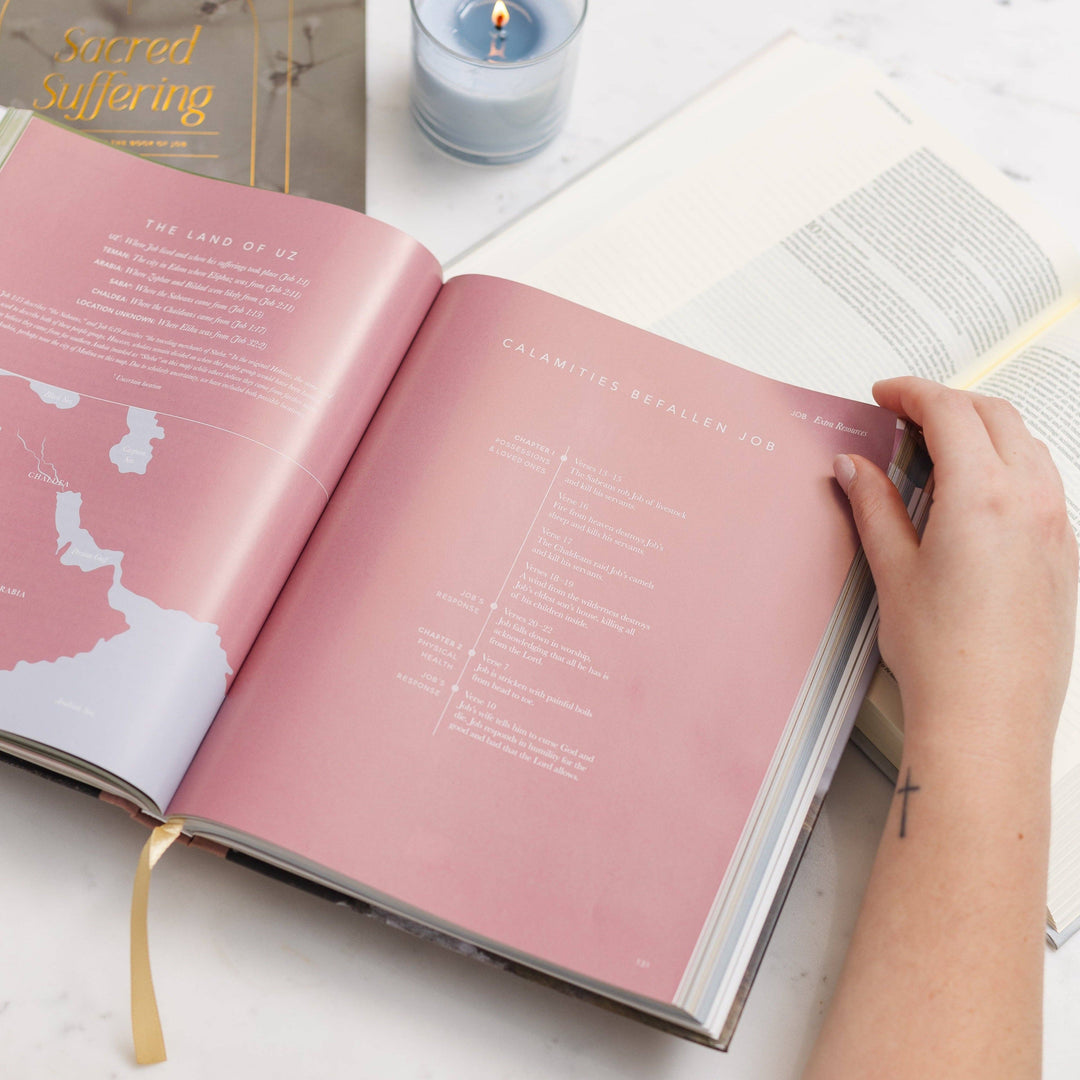 The Bible Handbook: A Book-by-Book Guide to the Entire Bible-Accessories-The Daily Grace Co-Shop with Bloom West Boutique, Women's Fashion Boutique, Located in Houma, Louisiana