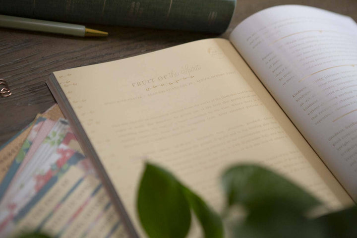 Galatians Bible Study | Extravagant-Bibles & Devotionals-Chosen & Cherished-Shop with Bloom West Boutique, Women's Fashion Boutique, Located in Houma, Louisiana