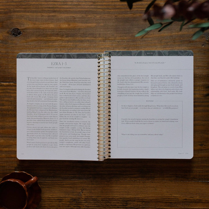 A Year in the Bible | 365 Days of Discovering the Beauty of Jesus from Genesis to Revelation | Volume 2-Accessories-The Daily Grace Co-Shop with Bloom West Boutique, Women's Fashion Boutique, Located in Houma, Louisiana