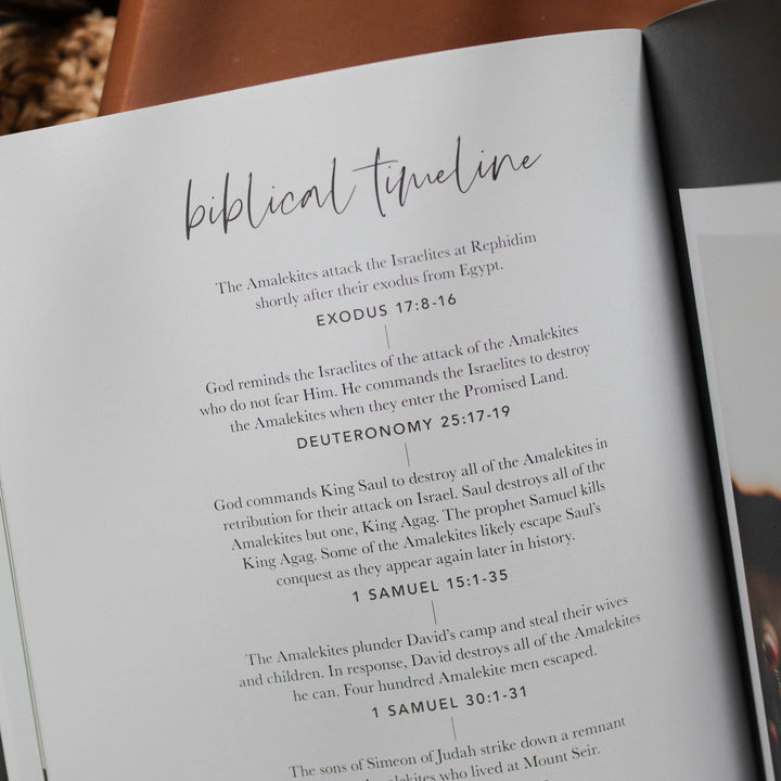 Esther | Seeing God When He Is Silent-Bibles & Devotionals-The Daily Grace Co-Shop with Bloom West Boutique, Women's Fashion Boutique, Located in Houma, Louisiana