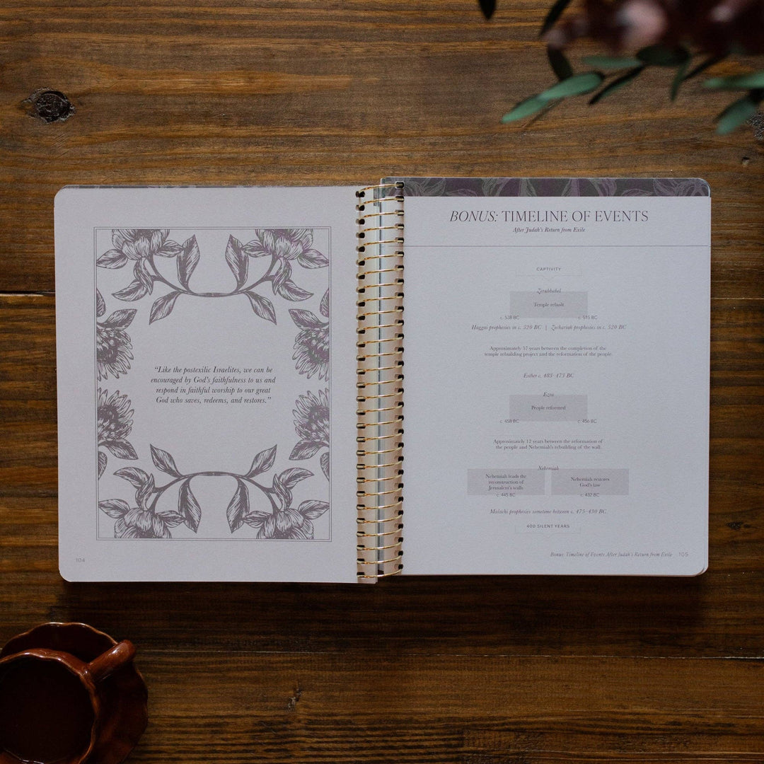 A Year in the Bible | 365 Days of Discovering the Beauty of Jesus from Genesis to Revelation | Volume 2-Accessories-The Daily Grace Co-Shop with Bloom West Boutique, Women's Fashion Boutique, Located in Houma, Louisiana