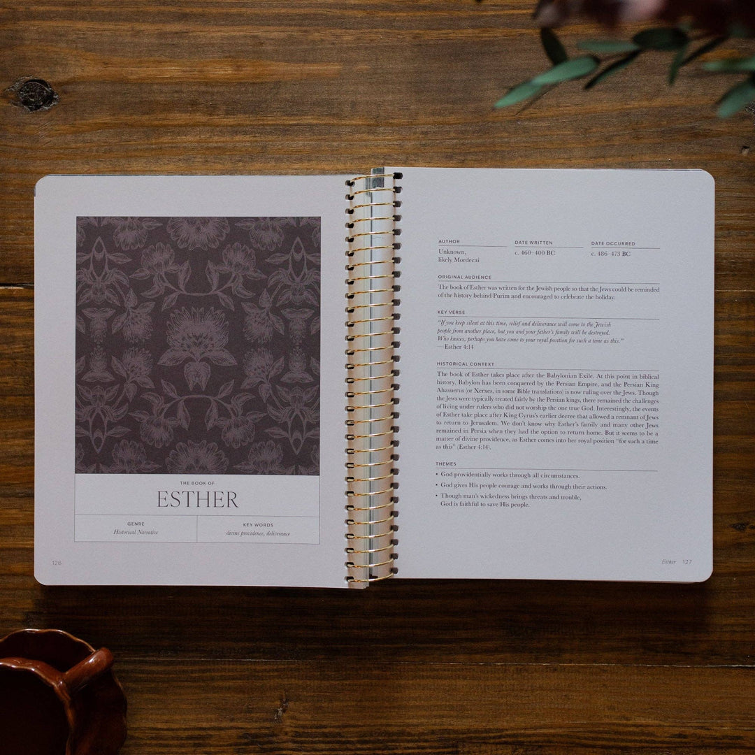 A Year in the Bible | 365 Days of Discovering the Beauty of Jesus from Genesis to Revelation | Volume 2-Accessories-The Daily Grace Co-Shop with Bloom West Boutique, Women's Fashion Boutique, Located in Houma, Louisiana