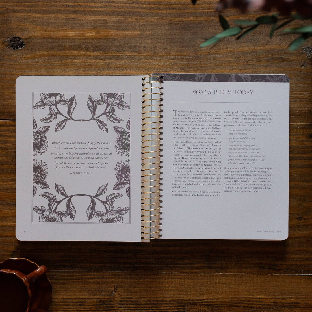 A Year in the Bible | 365 Days of Discovering the Beauty of Jesus from Genesis to Revelation | Volume 2-Accessories-The Daily Grace Co-Shop with Bloom West Boutique, Women's Fashion Boutique, Located in Houma, Louisiana