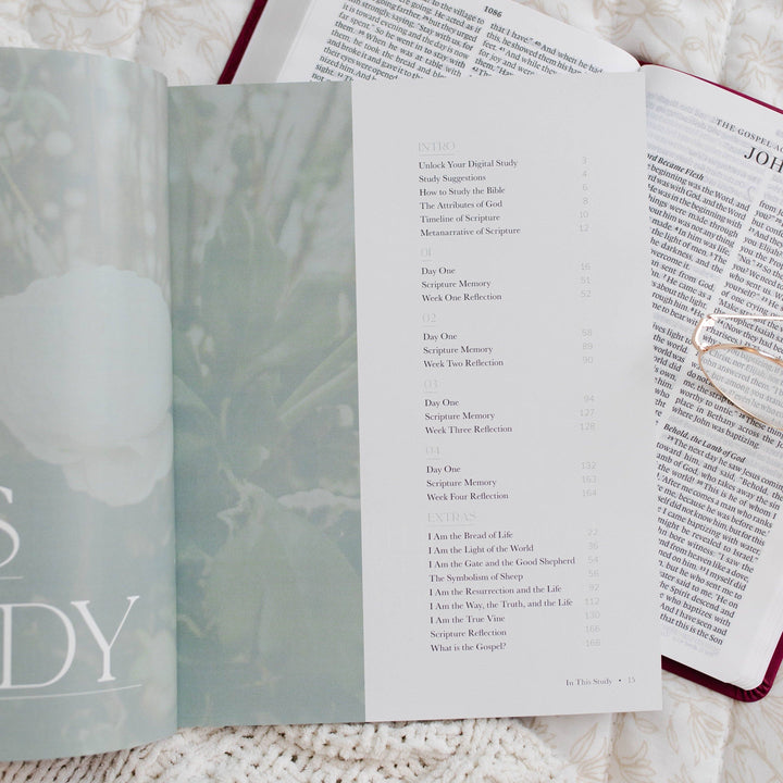I Am - Who Jesus Is Changes Everything Bible Study-The Daily Grace Co-Shop with Bloom West Boutique, Women's Fashion Boutique, Located in Houma, Louisiana