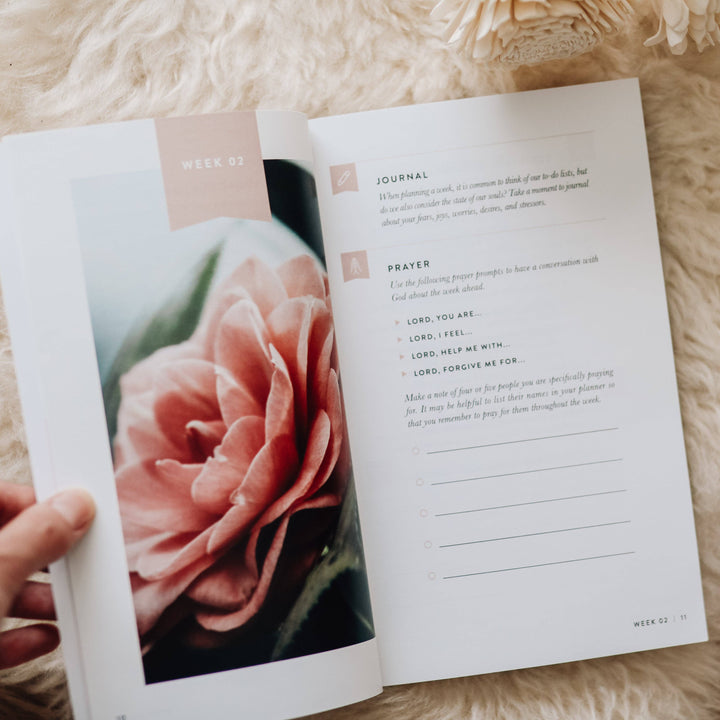 Fix Your Focus | A 52-Week Guide to Help You Put God First-The Daily Grace Co-Shop with Bloom West Boutique, Women's Fashion Boutique, Located in Houma, Louisiana