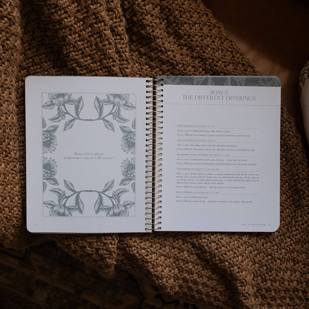 A Year in the Bible | 365 Days of Discovering the Beauty of Jesus from Genesis to Revelation | Volume 1-The Daily Grace Co-Shop with Bloom West Boutique, Women's Fashion Boutique, Located in Houma, Louisiana