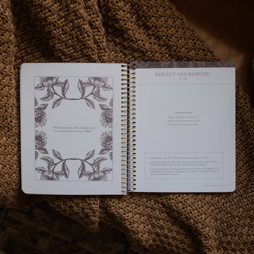 A Year in the Bible | 365 Days of Discovering the Beauty of Jesus from Genesis to Revelation | Volume 1-The Daily Grace Co-Shop with Bloom West Boutique, Women's Fashion Boutique, Located in Houma, Louisiana