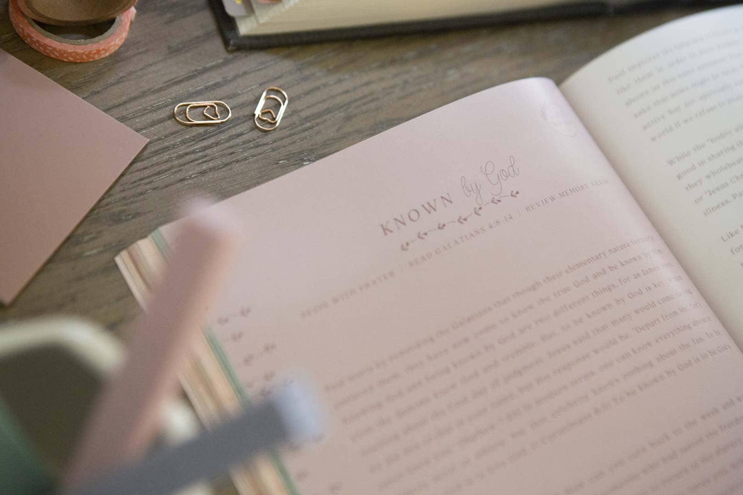 Galatians Bible Study | Extravagant-Bibles & Devotionals-Chosen & Cherished-Shop with Bloom West Boutique, Women's Fashion Boutique, Located in Houma, Louisiana