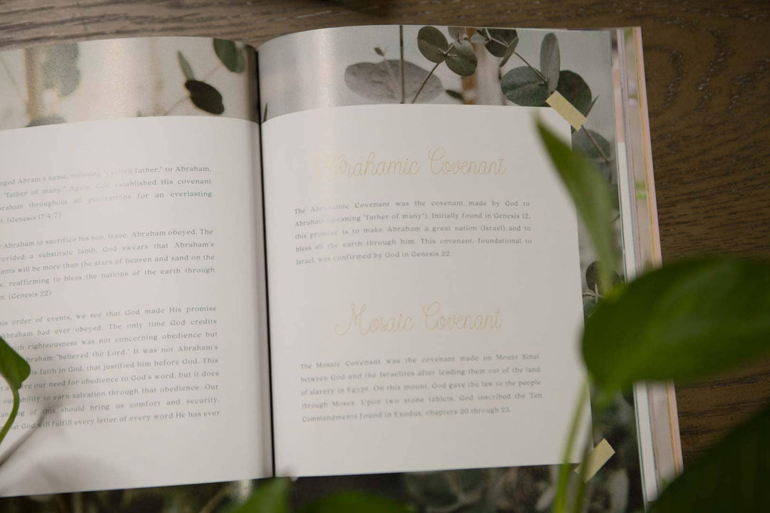 Galatians Bible Study | Extravagant-Bibles & Devotionals-Chosen & Cherished-Shop with Bloom West Boutique, Women's Fashion Boutique, Located in Houma, Louisiana