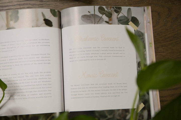 Galatians Bible Study | Extravagant-Bibles & Devotionals-Chosen & Cherished-Shop with Bloom West Boutique, Women's Fashion Boutique, Located in Houma, Louisiana