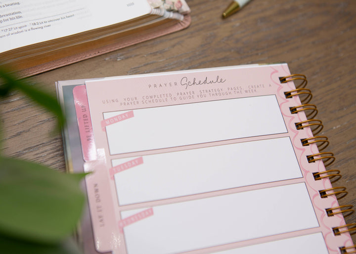 New Mercies Prayer Journal for Women-Accessories-Chosen & Cherished-Shop with Bloom West Boutique, Women's Fashion Boutique, Located in Houma, Louisiana