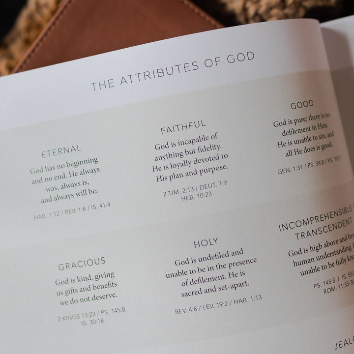 Esther | Seeing God When He Is Silent-Bibles & Devotionals-The Daily Grace Co-Shop with Bloom West Boutique, Women's Fashion Boutique, Located in Houma, Louisiana