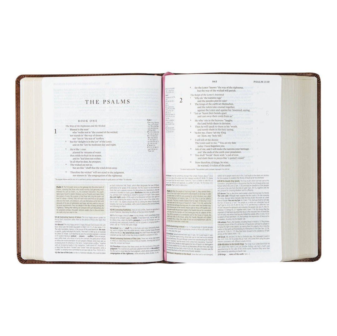 ESV Study Bible : Aurora Theme-Accessories-Hosanna Revival-Shop with Bloom West Boutique, Women's Fashion Boutique, Located in Houma, Louisiana